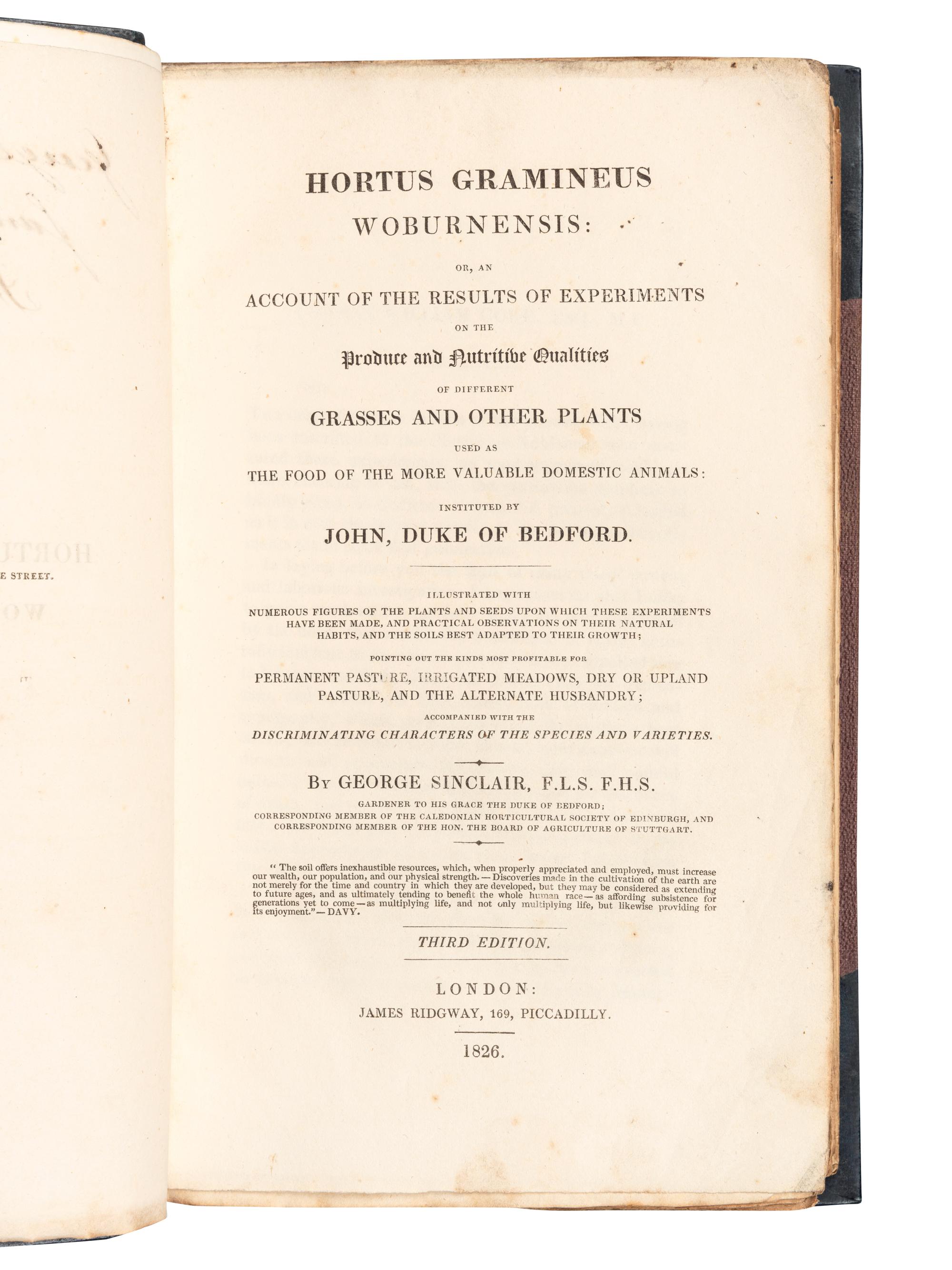 [FERNS & GRASSES]. A group of 7 works, including: