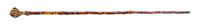 A Bird Talon and Exotic Wood Walking Stick, Height overall 35 x height of handle 2 7/8 inches.