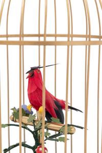 A German Gilt Metal Singing Automaton Bird Cage by Uhren Hauser