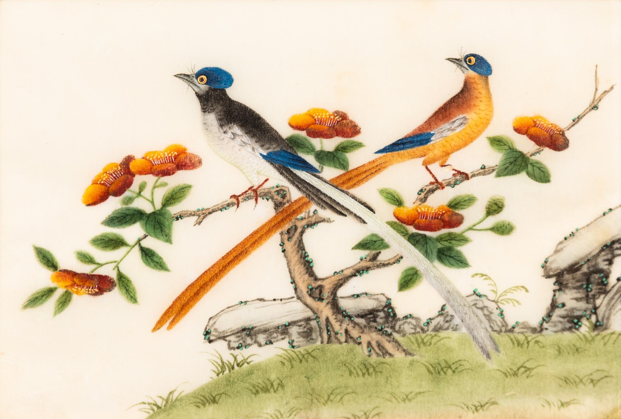A Collection of Twelve Chinese Export Pith Paintings