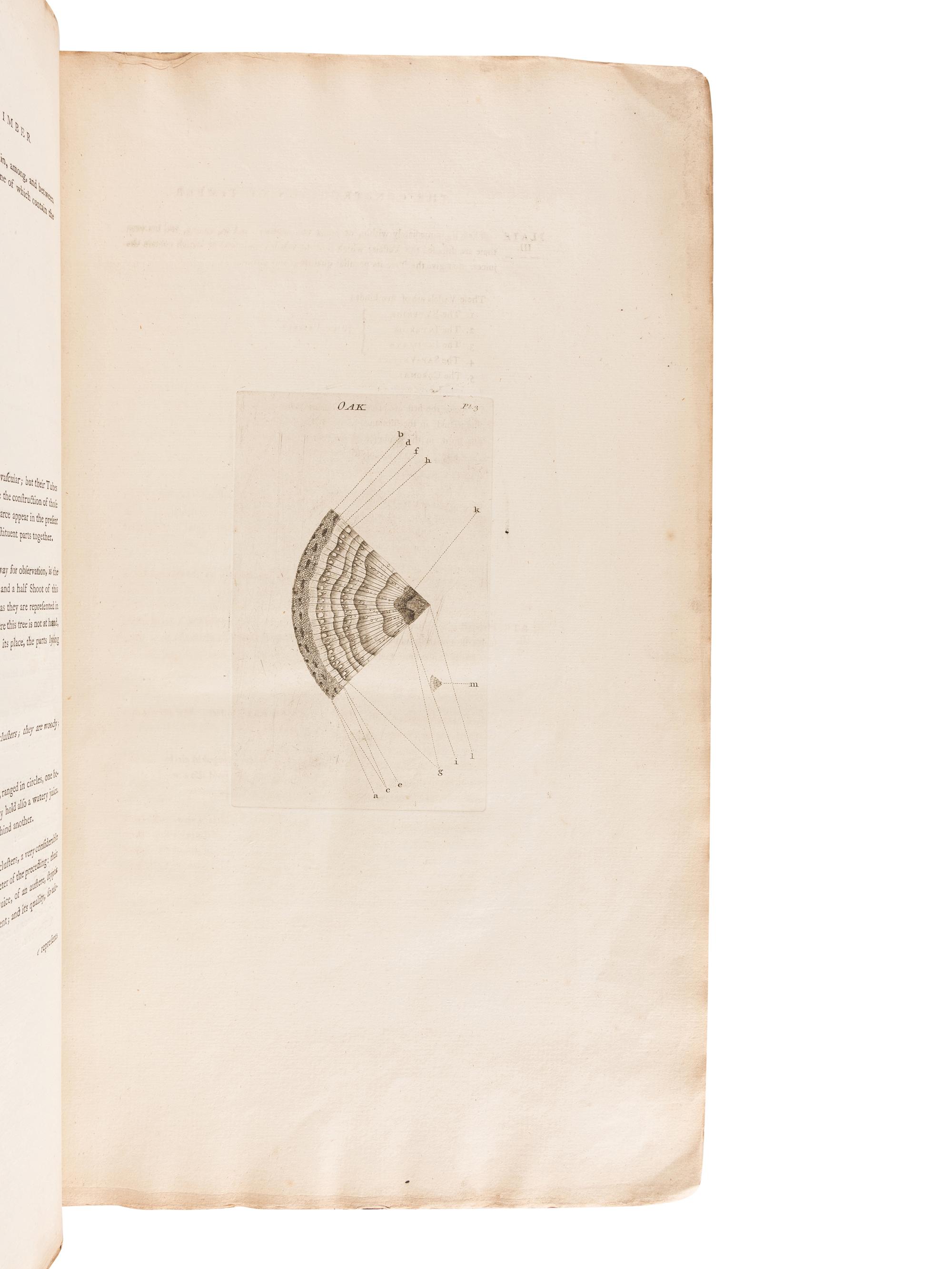 HILL, John, Sir (1716?-1775). The Construction of Timber, from its Early Growth; explained by the Microscope . London: for the author, 1770.