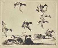 [Prints] Benson, Frank W.: Group of 4 Sporting Prints